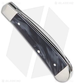 Case Swayback Knife 3" Black Pearl Kirinite (TB101117 SS) USA -Knife Shop Case Swayback Knife Black Pearl Kirinite SS BHQ 138432 jr side