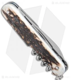 Mercury 7-in-1 Multi-Purpose Penknife Stag (3" Polish) 913-6DC -Knife Shop Mercury Multi Purpose Stag Handle 913 6DC BHQ 125004 jr side